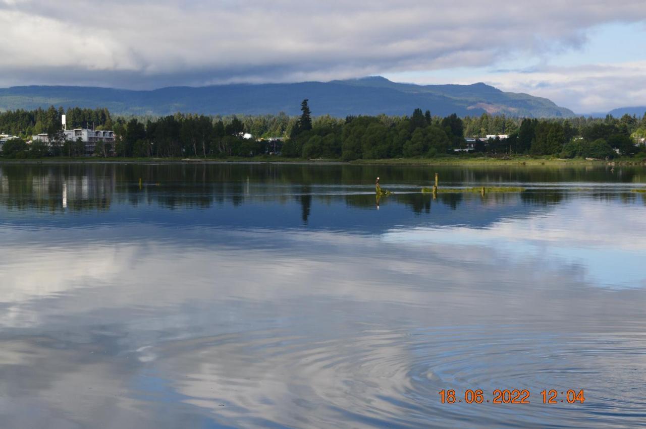 Estuary House Reflexology B&B Courtenay Extérieur photo