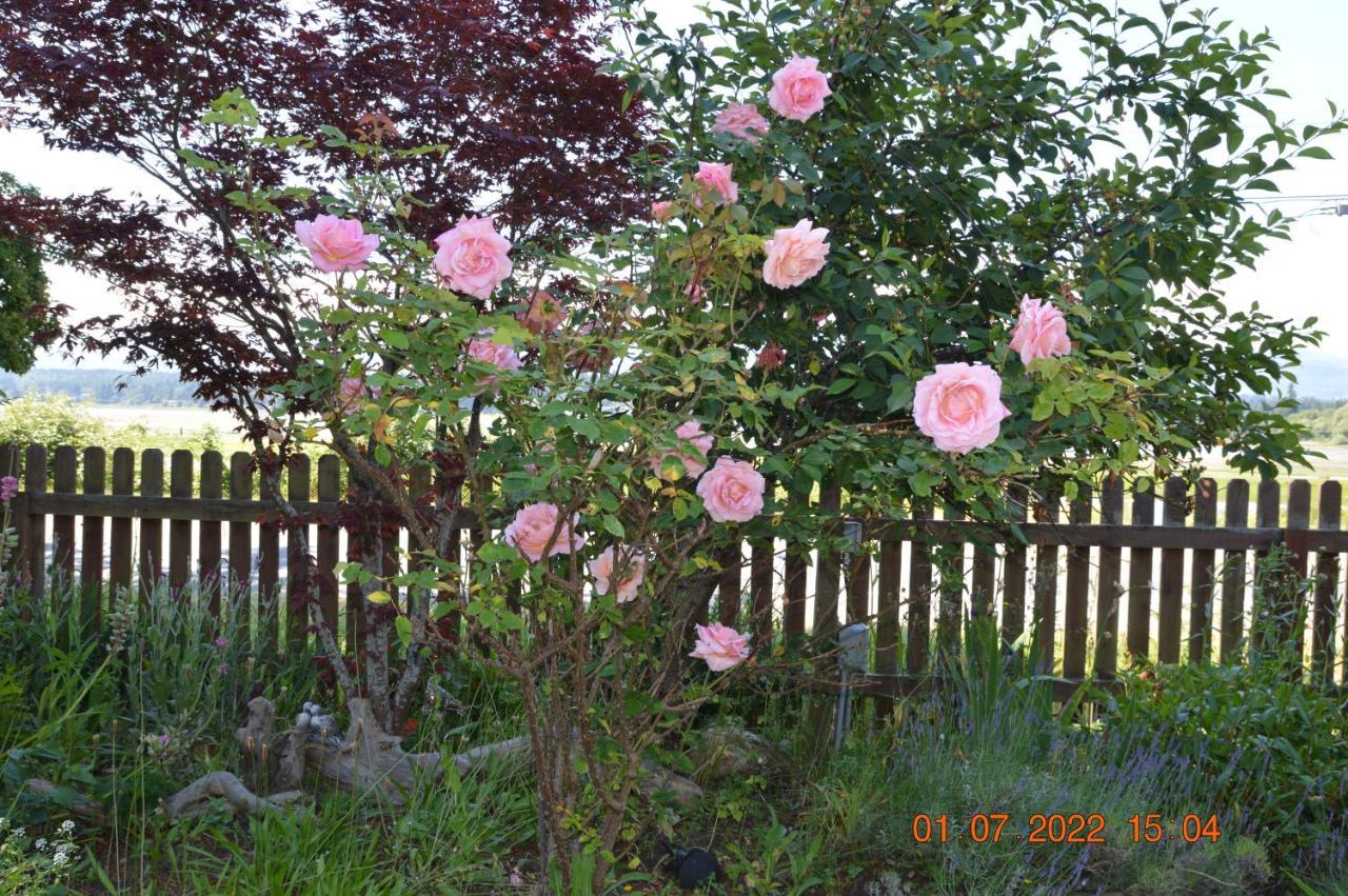 Estuary House Reflexology B&B Courtenay Extérieur photo