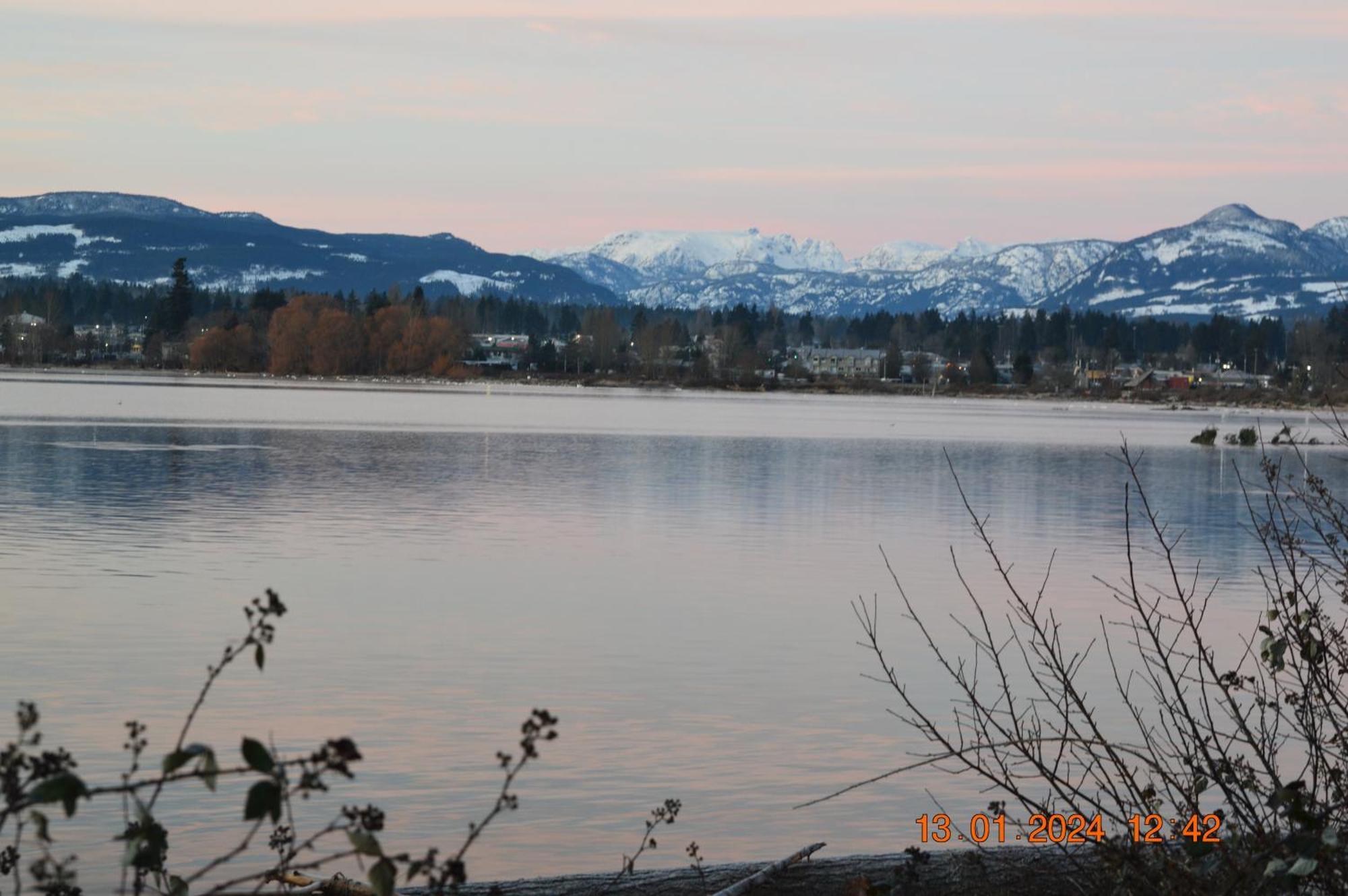 Estuary House Reflexology B&B Courtenay Extérieur photo